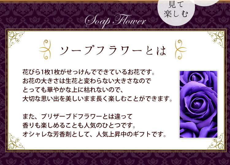 ������ã 14���� 77�إ����� �����ץե� ����ܥ�֡��� ��« �礭�� �礭�� �� ���ե� ������ �ץ쥼��� ���� ��ͧã ���� ���Ф������ 77�� 70�� ��� ���ˤ� ���� ����ˤ� �� �ե������� �࿦�ˤ� ��Ź�ˤ� �����