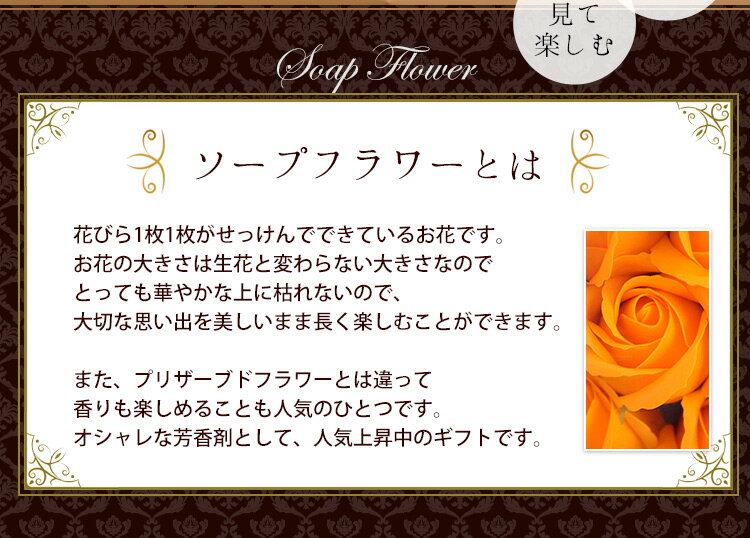 ������ã 14���� 80�إ����� �����ץե� ����ܥ�֡��� ������� ��« ���ե� 80�� ���� ���ˤ� ���� ������ �ץ쥼��� ���� ��ͧã ���� ���Ф������ ��« �� �� �ե������� �礭�� �礭�� �� ������ȯ�� �࿦�ˤ� ��Ź�ˤ� �����