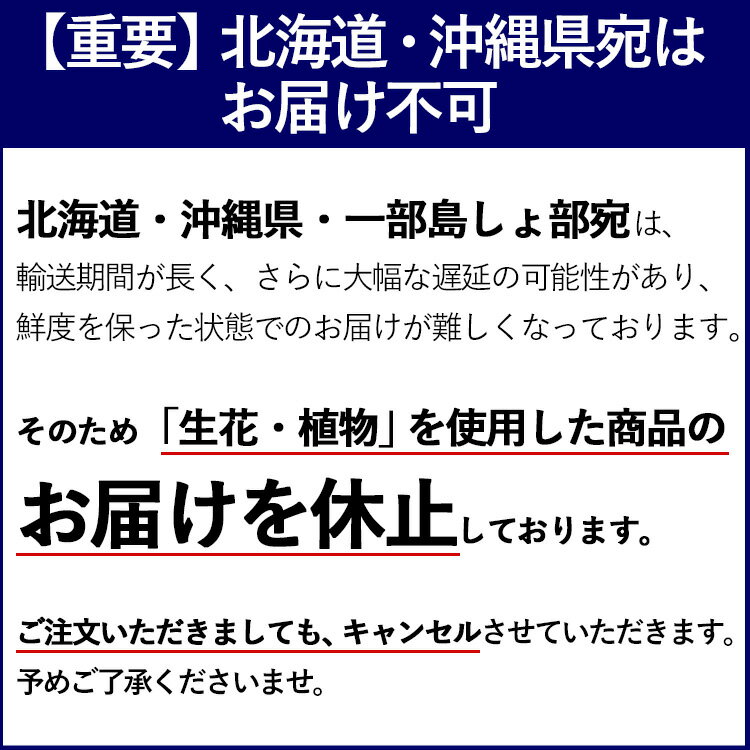 花由『季節のおまかせ花鉢とグリーンの寄せ入れMサイズ（hoh14）』