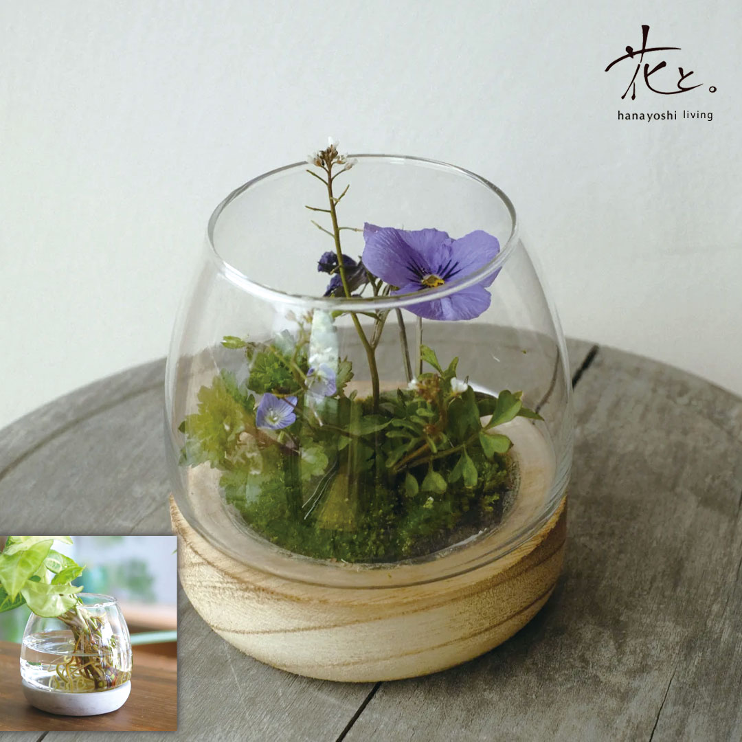 Rakuten - フラワーベース セメさん もくさん 花器 花瓶 インテリア グリーン フラワー 植物 自宅用 室内 おしゃれ 資材 一輪挿し ナチュラル 北欧 ガラス 木製 コンクリート ナチュラル 卓上 玄関 リビング 窓辺 モダン 小さい PY 花と。
