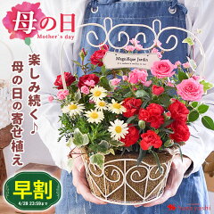 https://thumbnail.image.rakuten.co.jp/@0_mall/hanayoshi/cabinet/mothersday/2024/evm24h315_mn2.jpg