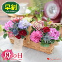 【早割は4/28まで】 母の日 花 プレゼント カーネーション 2024 季節限定シリーズ 生花アレンジ La Mere ラ・メール フラワーアレンジメント 母の日ギフト お花 母 お誕生日 プレゼント 女性 義母 お祝い フラワーギフト おしゃれ 送料無料 5/7～12の間で当店におまかせ