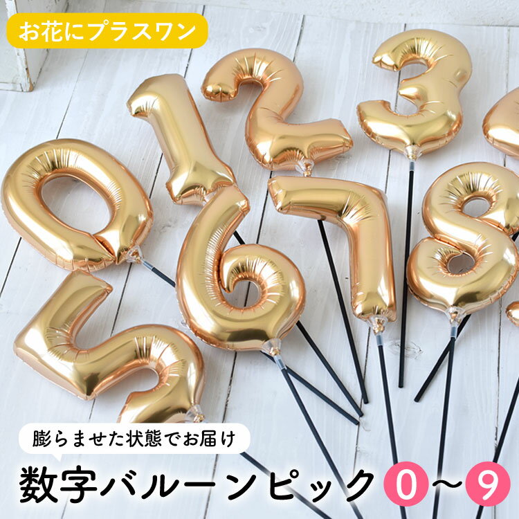 ڤ֤˥ץ饹ۿ Х롼 ԥåХ롼ԥåΤߤιϤǤޤ󢨢֤Ȱˤʸ եȡեȤˤƱǤޤ...