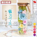 翌日配達 プリザーブドフラワー ボトルフラワー バラ プレゼント 女性 花 お花 誕生日 お誕生日 結婚祝い 結婚記念日 新築祝い 開店祝い 引っ越し祝い デス...