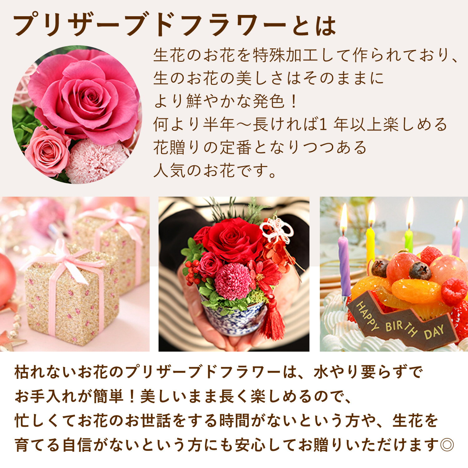 ������ã 14���� �ץꥶ���֥ɥե� ���� �Ϥ�ʤꡣ�¤Ѥ�äȡ��Ҥ�� ������ �ץ쥼��� ���ե� �������� �� ���ˤ� ����� ���� �Х� ����ˤ� �Ϥ�ʤ� ���� �� �Ŵ� ��� �Ƽ� ���� ´�� ��� ɴ�� �ˤ� �뺧��ǰ�� Ĺ�� �࿦ �࿦�ˤ� ��Ź�ˤ� ´�� �� �����