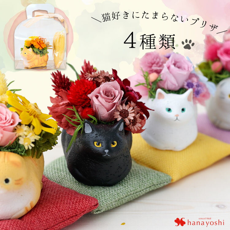 楽天Shop of the Year 7回受賞店 クリアケース付のんびりまったり猫 ...