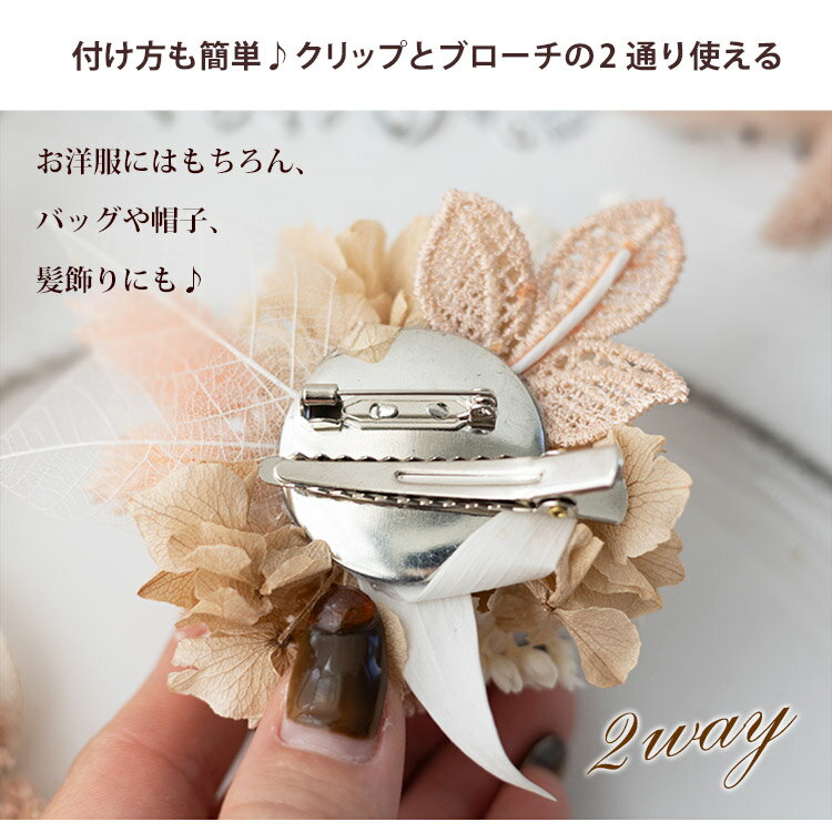 ������ã 14���� �ץꥶ���֥ɥե� ���������� �롼���� ���٤�3���顼 ����󥸥��� ������ ���� �Ϥ�ʤ� �� �ޥ� �ե����ޥ� �ѡ��ƥ� ���޼� ���޼� ��ŵ �ץ쥼��� �Ϥ�ʤ� �� ���ե� �ɥ饤�ե� ���ؼ� ���Ҽ� �����