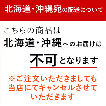 あす楽 送料無料 お供え 仏花 プリザーブドフラワー＆アーティフィシャルフラワー 清雅 せいが 優雅 ゆうが 仏壇用 お供え用アレンジメント お悔やみ 花 贈り物 即日 ブリザードフラワー お供え花 法事 お供え物 命日 一周忌 三回忌 造花 クリアケース入り