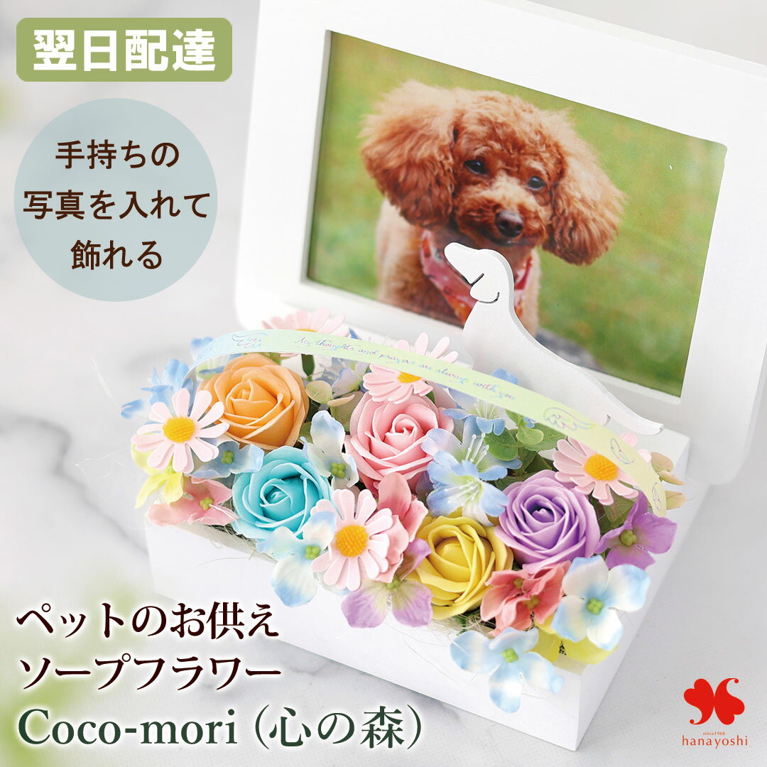 Rakuten - 【6/4 20時SS×5倍】翌日配達 ペット お供え 花 ソープフラワー Coco-mori（心の森） 仏花 フォトフレーム お悔やみ 虹の橋 枯れない お花 犬 猫 ペット供養 写真立て お供え用 アレンジメント シャボンフラワー 供花 お供え花 お悔やみギフト 法事 仏壇用 仏壇 四十九日