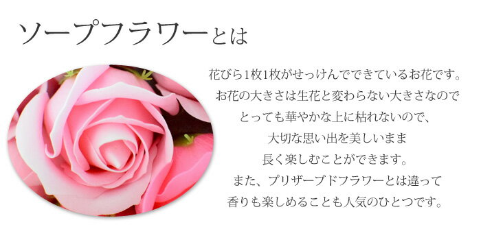 ������ã ��« ���إ֡��� �����ץե� ���ե� �������� �ץ쥼��� �� ������ ���� ���� ��� ��« �ץ��ݡ��� �뺧�ˤ� �뺧��ǰ�� �� ���ˤ� �ե������� ����ܥ�ե� �礭�� ��ǯ �࿦�ˤ� ��Ź�ˤ� ������ �Х�󥿥��� ´�� ´�� �� �⹻�� ���� �����