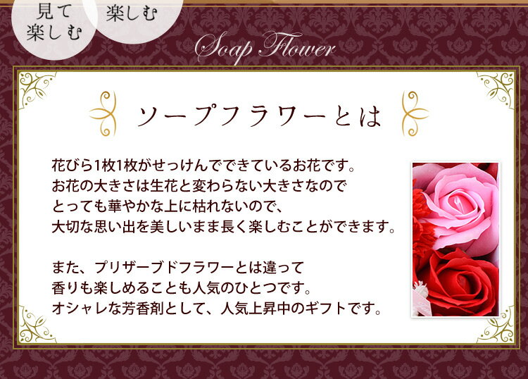 ������ã 14���� �ǥ����ץ쥤�ܥå��� �����ץե� ���ե� ����� �� ������ �ץ쥼��� ���� ��ǰ�� ȯɽ�� ���� ������� �� ����ܥ�ե� �ե��ܥå��� �Х� �ܥå��� �� ���ե� ���� �Ҷ� ���� �࿦�ˤ� ��Ź�ˤ� �����