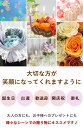 hanayoshi:10004160のサンプル画像3