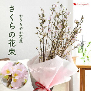 桜 花束 お家でお花見 桜の花束～和風ラッピング 2/2～3/20で指定OK 花 春 ギフト サクラ咲く さくら お祝い 花 誕生日 プレゼント 女性 祖母 母 フラワーギフト 送別会 退職祝い 定年 男性 上司 ホワイトデー 卒業祝い お花 卒業式 おうち花見 送料無料