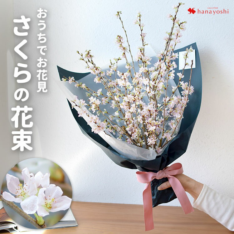 桜 花束 お家でお花見 桜の花束【1/30～3/20で指定OK 】花 春 プレゼント サクラ咲く さくら お花見 サクラ お祝い 花 誕生日 プレゼント 女性 フラワーギフト 愛妻の日 バレンタインデー ホワイトデー 卒園祝い 卒業祝い 退職祝い 結婚祝い 結婚記念日 送料無料