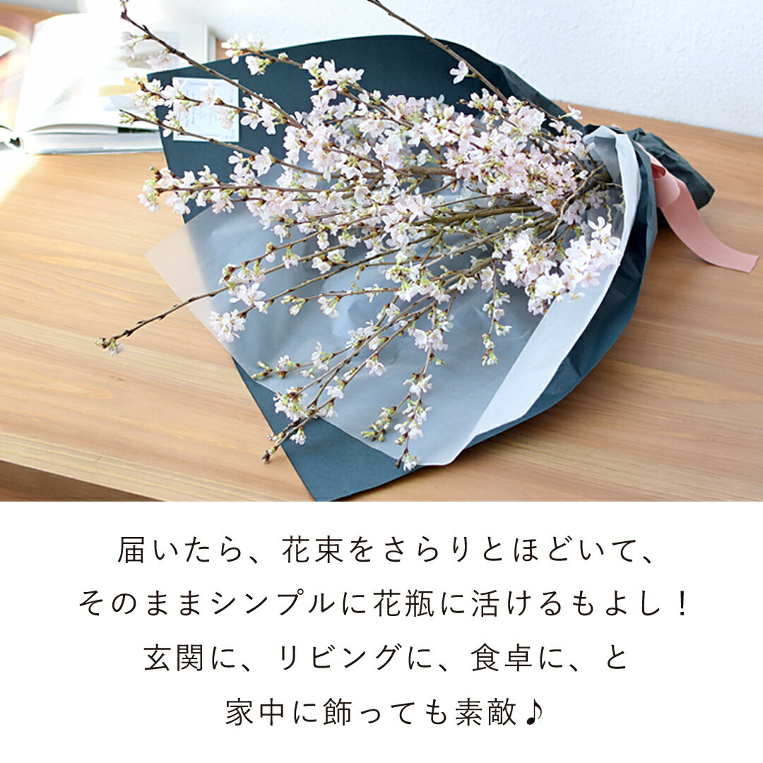 �� ��« ���ȤǤ��ָ� ���β�«��1/31��3/20�ǻ���OK �۲� �� �ץ쥼��� ������餯 ������ ���ָ� ������ ���ˤ� �� ������ �ץ쥼��� ���� �ե����ե� ��ʽˤ� ������ ´�� ´�ȼ� �࿦ ���� ��ǯ ´�ļ� �����ˤ� ���۽ˤ� �뺧�ˤ� �뺧��ǰ�� �����