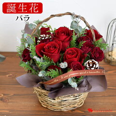 https://thumbnail.image.rakuten.co.jp/@0_mall/hanayoshi/cabinet/tanjyoubi/kia40_12topmain23.jpg