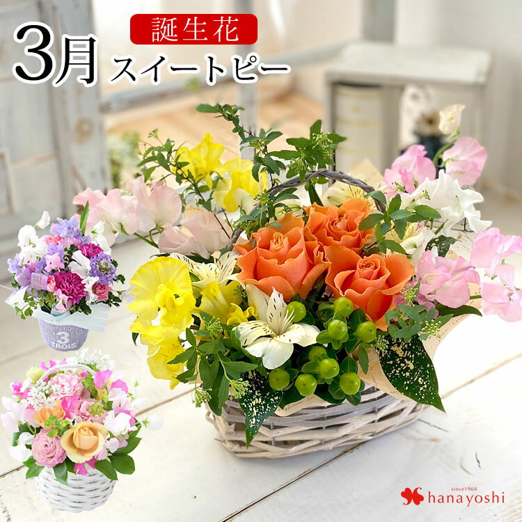 誕生花 を使った フラワーアレンジメント 3月 スイートピー 誕生月 の 生花アレンジ お誕生日 お祝い 誕生日 花 お花 ギフト プレゼント 誕生プレゼント アレンジ アレンジメントフラワー 開店祝い 展覧会 発表会 米寿 還暦 古希 喜寿 還暦祝い 卒業祝い 退職祝い 今月の花