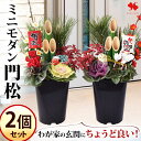門松 一対のミニモダン門松 2個セット 華やか 寄せ植え仕立て 玄関 寄せ植え 正月 花 お正月 モダン 送料無料 迎春 おしゃれ 松 竹 南天 シクラメン 葉牡丹 正月飾り お正月飾り お年賀 お歳暮 ギフト フラワー 玄関飾り 玄関ドア 生花 花飾り 和風 2026 ミニ 高さ45cm