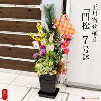 お正月 寄せ植え「門松」7号鉢 12/26〜12/30にお届け 門松 玄関 正月飾り モダン おしゃれ 迎春 花 お正月 お歳暮 お年賀 ギフト お正月飾り 寅年