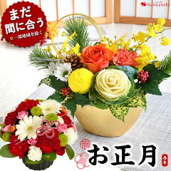 https://thumbnail.image.rakuten.co.jp/@0_mall/hanayoshi/cabinet/wintergift/23/evs23k002_mn_ma2.jpg