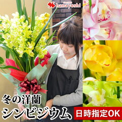 https://thumbnail.image.rakuten.co.jp/@0_mall/hanayoshi/cabinet/wintergift/23/hocym002_23mn.jpg