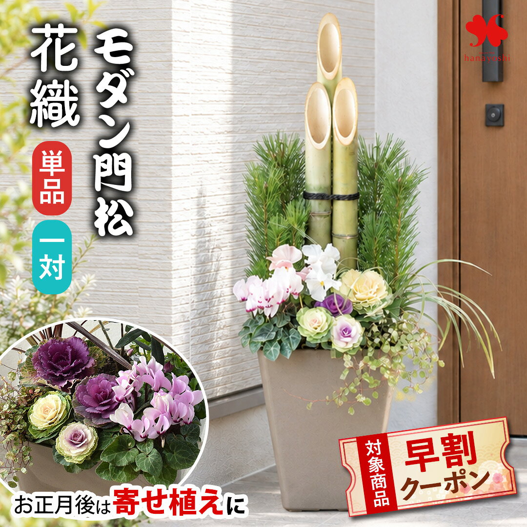 【早割クーポン配布中】2027 新作 正月 門松 玄関 おしゃれ お正月 後は 寄せ植え に！ 「モダン門松 花織 はなおり」選べる 単品 または 一対 手植え 80cm 正月飾り 玄関用 正月花 お正月 モダン 縁起物 お年賀 ギフト 花飾り 未年 送料無料 12/26～12/30の間でお届け