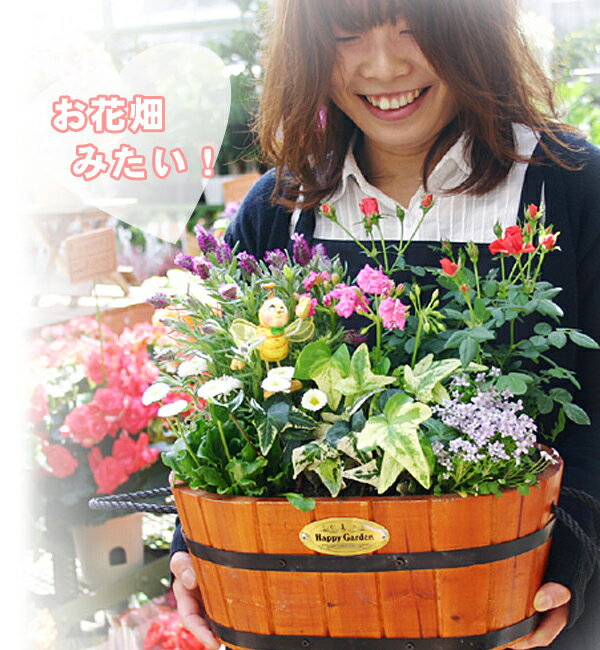 【2013年楽天SHOP of the year 花ジャンル大賞受賞店】【メッセージカード無料】