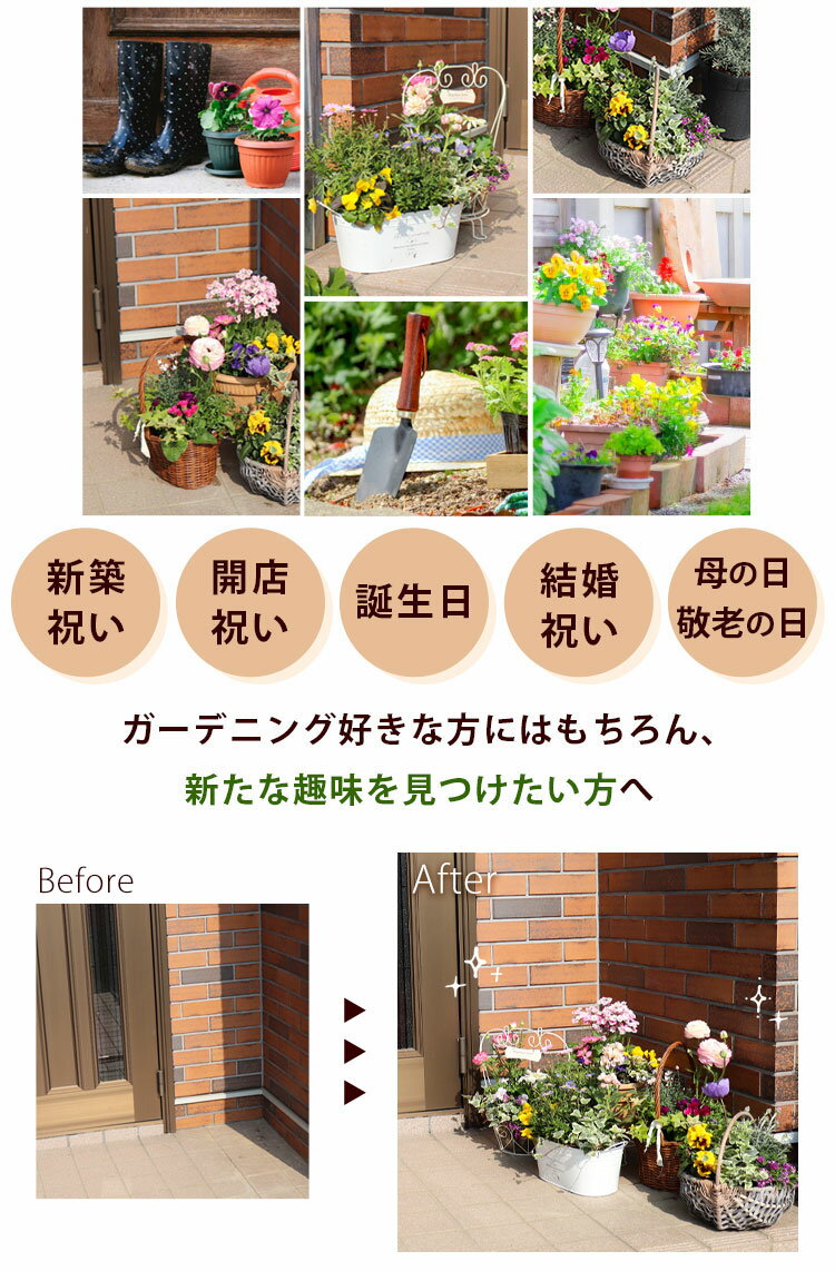 プランターが選べる 季節のおまかせ 寄せ植え M 旬のお花をたっぷり 鉢植え フラワ...