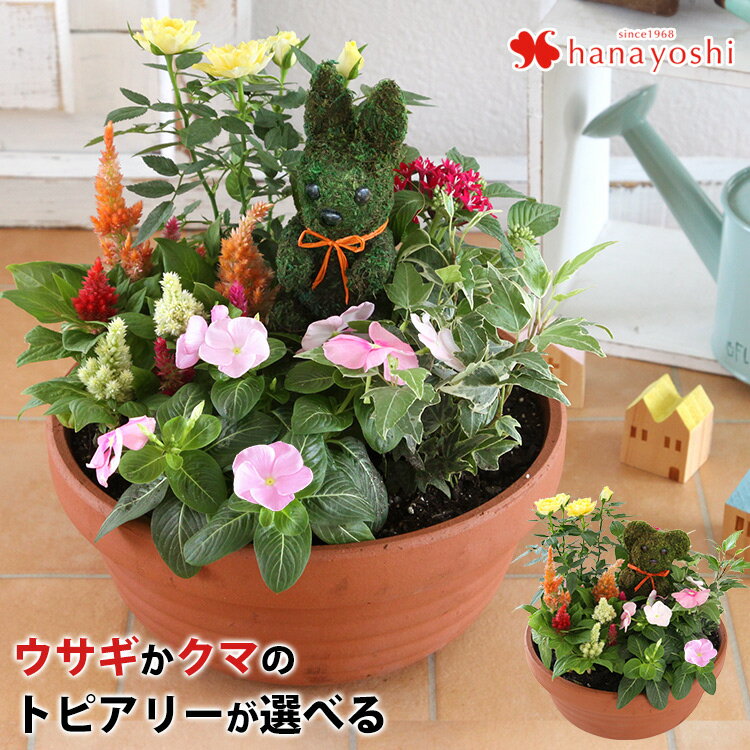 フラワーマーケット花由 花の鉢植え 【寄せ植え】お花畑みたい トピアリーの寄せ植え お誕生日 お花 プレゼント 女性 母 祖母 義母 新築祝い 引っ越し祝い 友人 ギフト 開業祝い 開店祝い フラワーギフト 鉢植え 花 結婚祝い アニマル モスドール 鉢花 お母さん おかあさん 義母 5月21日以降お届け