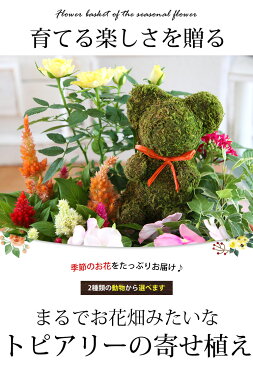 【寄せ植え】お花畑みたい トピアリーの寄せ植え お誕生日 お花 プレゼント 女性 母 祖母 義母 女友達 新築祝い 引っ越し祝い 友人 おしゃれ ギフト 開店祝い 移転祝い フラワーギフト 鉢植え 花 退職祝い 結婚祝い アニマル モスドール 鉢花 贈り物 記念日プレゼント