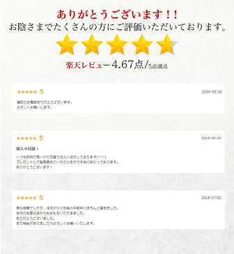 ★鉢花ランキング1位★胡蝶蘭 3本立ち 大輪 27輪(蕾含) 送料無料 お中元 お祝い 贈り物 開店祝い 花 ギフト 出産祝い 花 敬老の日 お供え 新築祝い 開業祝い 開院祝い 還暦祝い 古希祝い 結婚祝い 誕生日 コチョウラン ラン 高品質 あす楽 楽ギフ_包装 HLS_DU RCP 即G12 S15