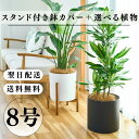 スタンド付き鉢カバー 8号 選べる観葉植物 おしゃれな鉢カバー 植木鉢 大型 人気 インテリア 高級 ギフト オフィス ホテル エントランス ラウンジ リビング...