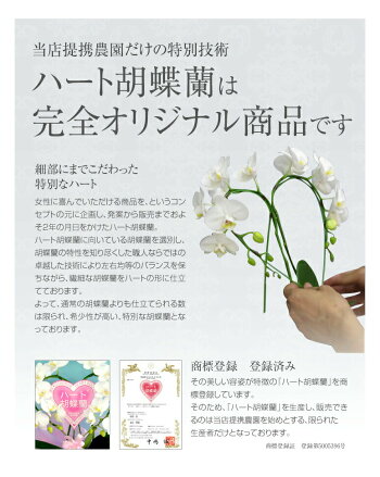 【送料無料】ハート胡蝶蘭ミディサイズ