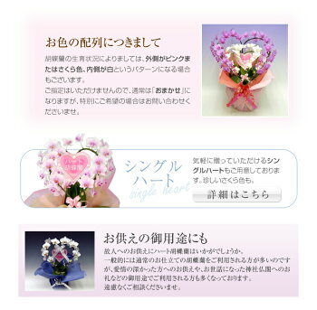 【送料無料】ハート胡蝶蘭ミディサイズ