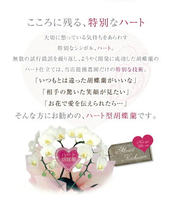 【送料無料】ハート胡蝶蘭ミディサイズ