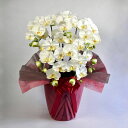 【造花】光触媒胡蝶蘭 大輪5本立ち 花色白写真配信あり 豪華 ラッピング ギフト お祝い 定番 花 贈り物 誕生日 開店祝い 開業 開院 移転 就任 昇進 周年...