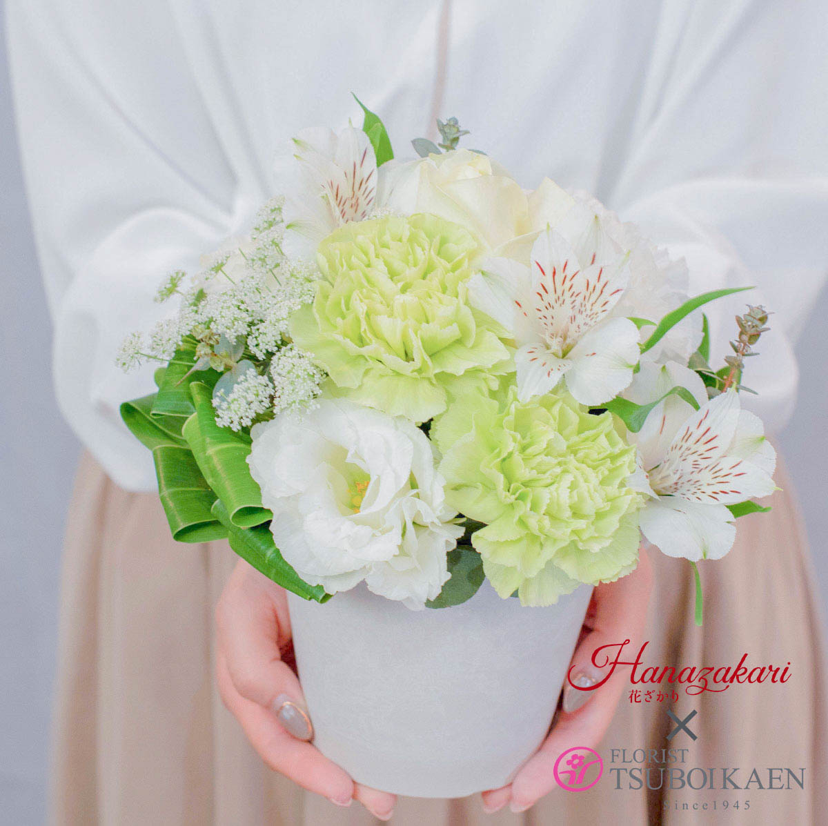 季節のお任せアレンジメント ホワイト Sサイズ プラスチック鉢 23cmギフト 贈り物 インテリア 開店祝い 開業祝い 退職祝い 退院祝い 引越祝い 新築祝い 結婚祝い サプライズ 母の日 父の日 敬老の日 御礼 誕生日 送別