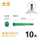 カトレアホルダ【大S】【10本】