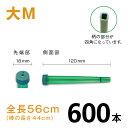 カトレアホルダ 全長560mm【大M】【600本】