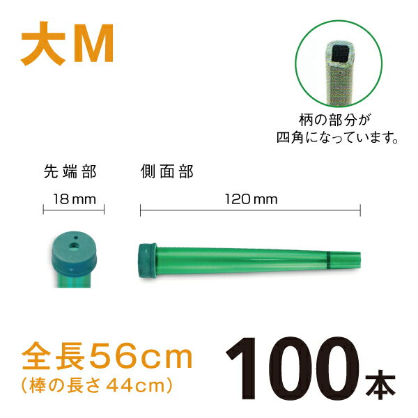 カトレアホルダ　全長560mm【大M】【100本】