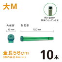 カトレアホルダ 全長560mm【大M】【10本】
