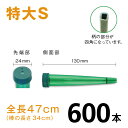 カトレアホルダ 全長470mm【特大S】【600本】