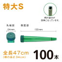 カトレアホルダ 全長470mm【特大S】【100本】