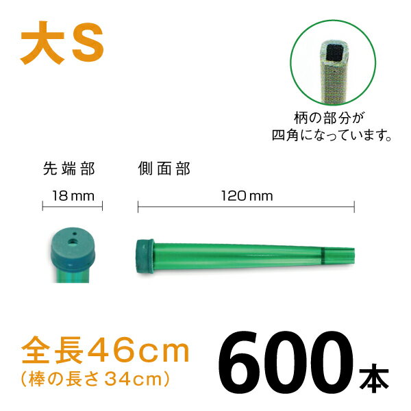 カトレアホルダ　全長460mm【大S】【600本】
