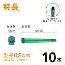 カトレアホルダ 全長820mm【特長】【10本】
