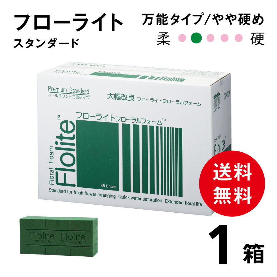 【送料無料】 フローラルフォーム 生け花 オアシス 花 20個入 吸水スポンジ フラワーアレンジメント 吸水フォーム 生け花用スポンジ 花資材 花・観葉植物用品 資材 ガーデン ガーデニング アレンジ ブリック 1ケース 3ケース 法人向け 5ケース