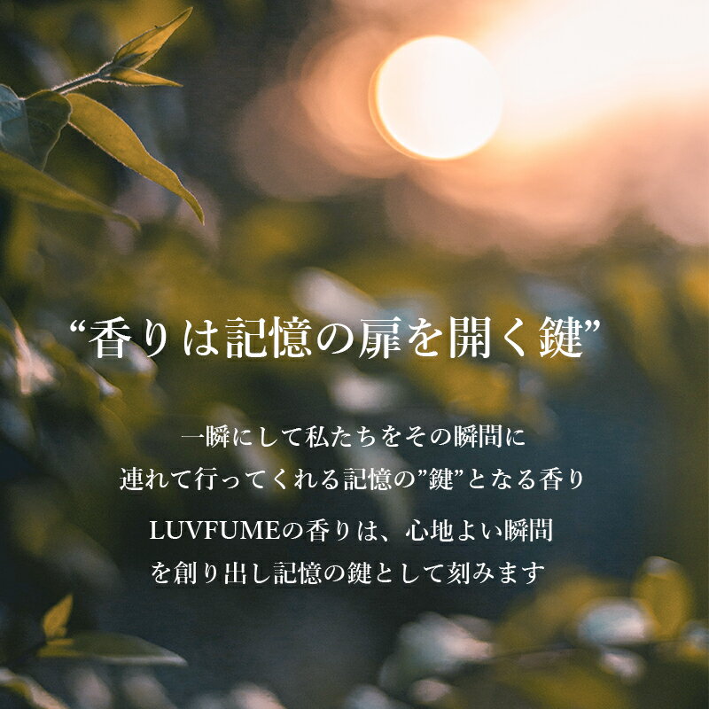 【訳あり商品 外箱不良】LUVFUME ラフューム ハンドクリーム No.12 BLANC LE NOIR 50ml おしゃれ シアバター ハンドケア 韓国コスメ 正規品 ユニセックス 　箱入り【国内発送】 2