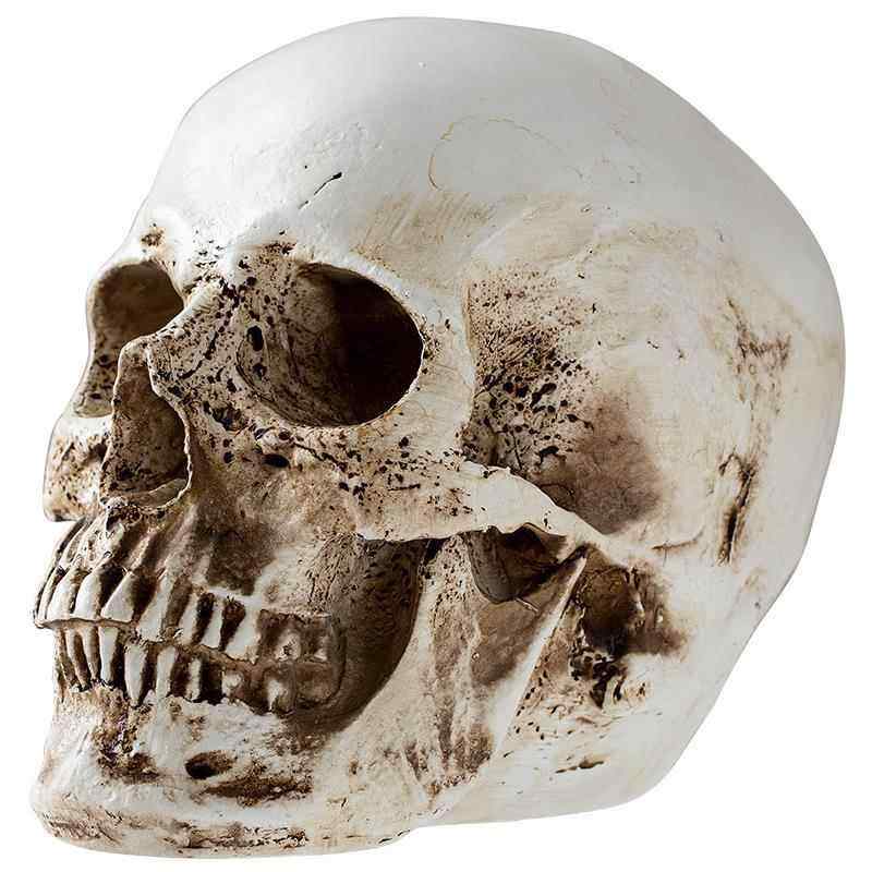 レトロ スカル ハロウィン オーナメント デコレーション 飾り インテリア 装飾品 ドクロ 樹脂 骸骨 ホーム ギフト パーティー