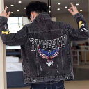 メンズ デニムジャケット スリムフィット 裏起毛 刺繍入り ジャケット ブルゾン ジージャン 春秋 アメカジ ビンテージ風 カジュアル スタイリッシュ クール タウン
