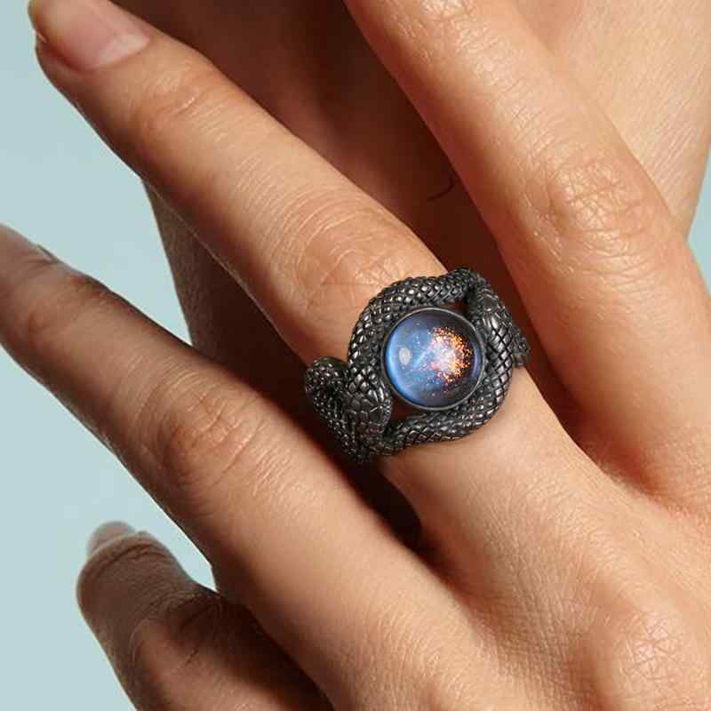 指輪 惑星 シルバー ブラック リング 蛇 巳年 男女兼用 クール ユニーク ダブル スネーク アメリカ 個性的